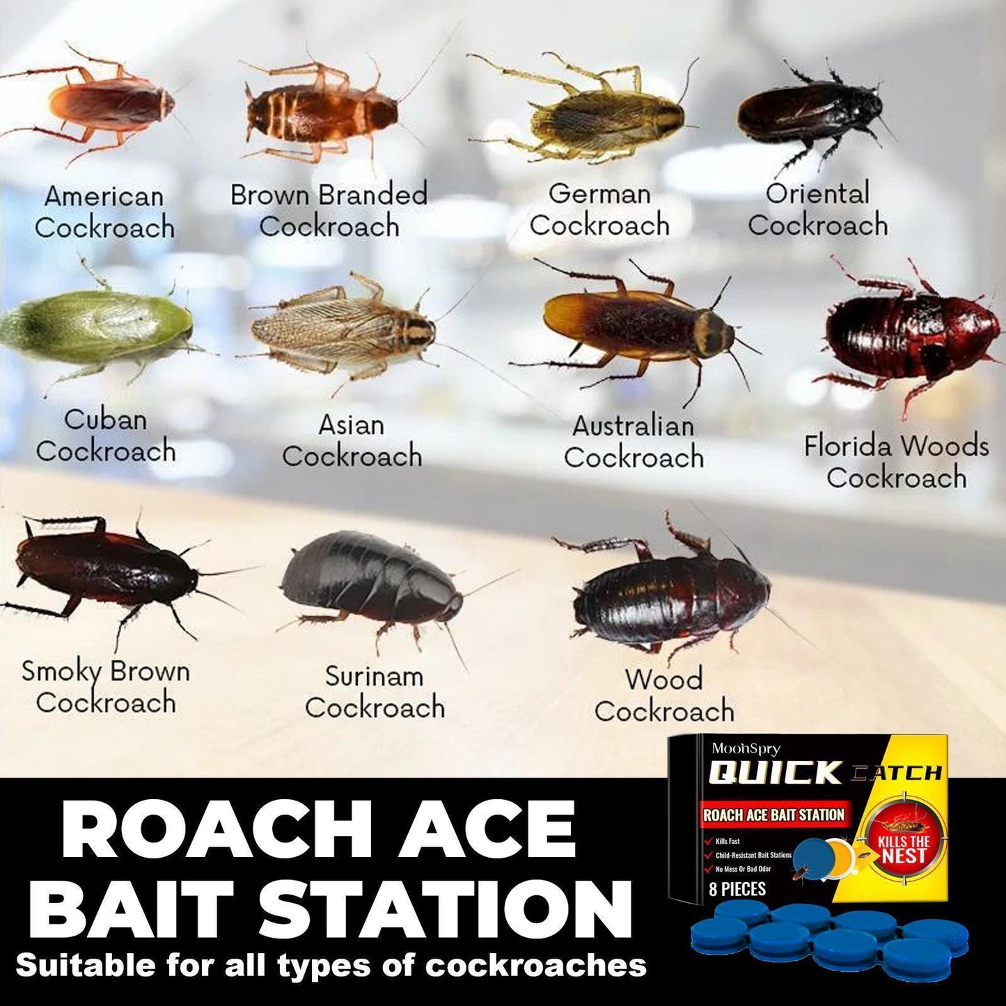 Say Goodbye to Cockroaches! Star Bait Station – Powerful Cockroach Bait for a Pest-Free Home