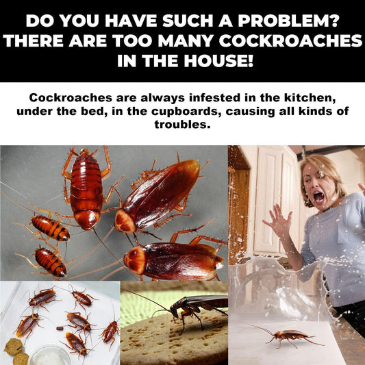 Say Goodbye to Cockroaches! Star Bait Station – Powerful Cockroach Bait for a Pest-Free Home