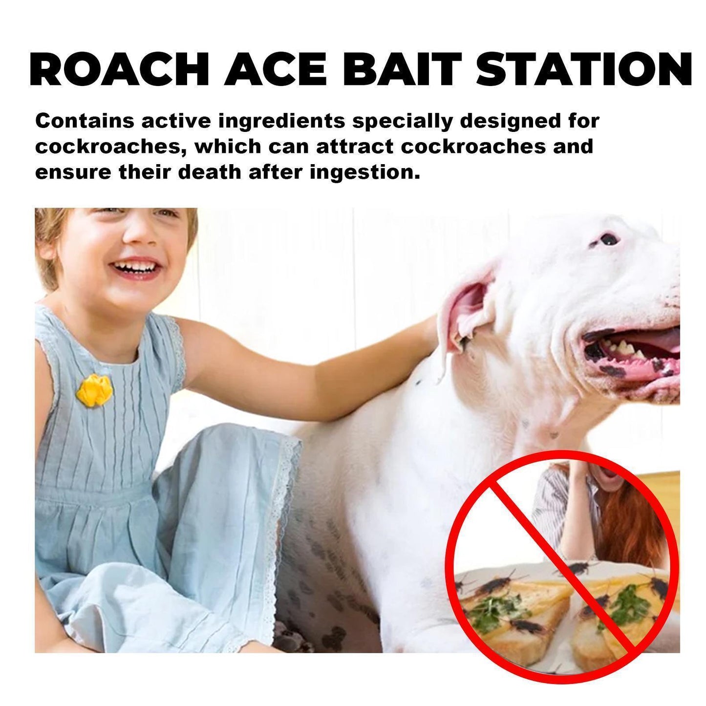 Say Goodbye to Cockroaches! Star Bait Station – Powerful Cockroach Bait for a Pest-Free Home